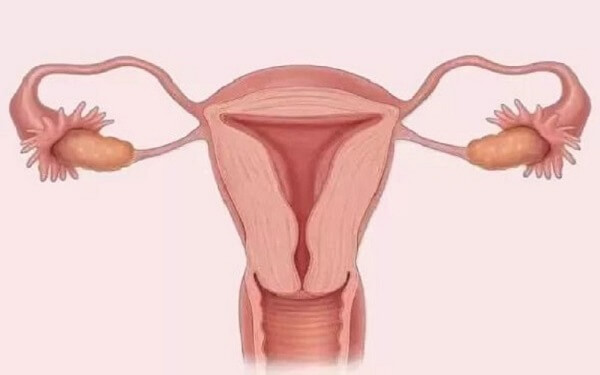 据说输卵管粘连做试管婴儿会宫外孕，是真的假的？