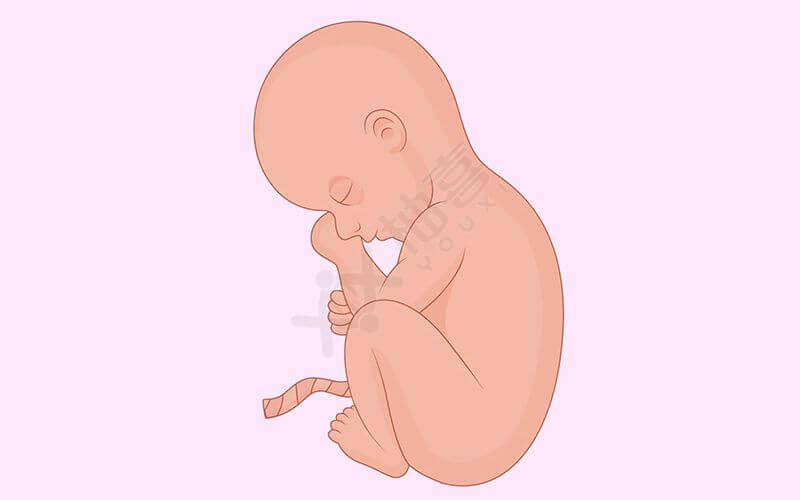 怀孕九个月胎儿发育图