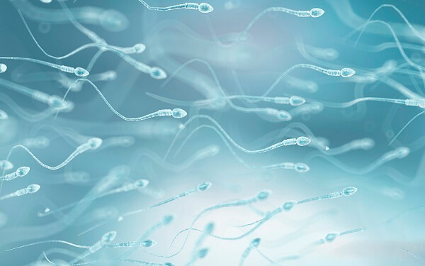 胚胎等级与男性精子有关系吗？