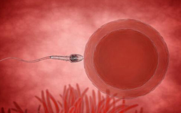 试管移植7天后胚胎着床不成功的原因是什么？