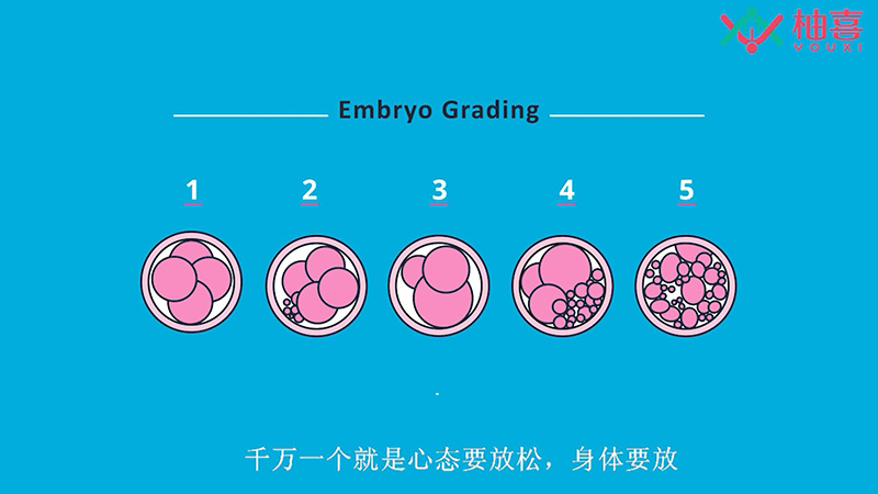 胚胎移植注意事项
