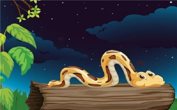 孕3周梦见蛇是什么意思，有什么征兆吗？
