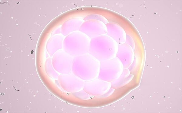 胚胎着床的位置与女性睡觉姿式有关吗？