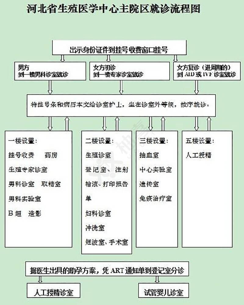 河北省计划生育科学技术研究院就医流程