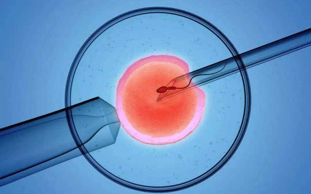 胚胎质量能影响试管婴儿成功率
