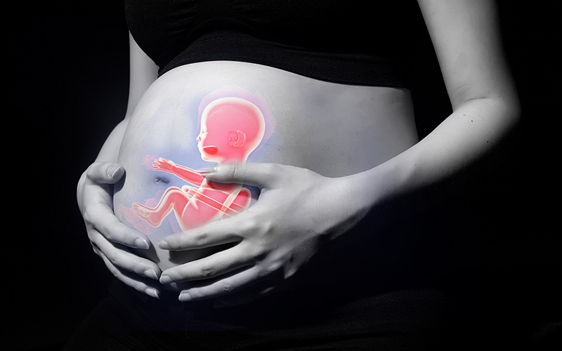 预产期胎儿推迟出生的原因