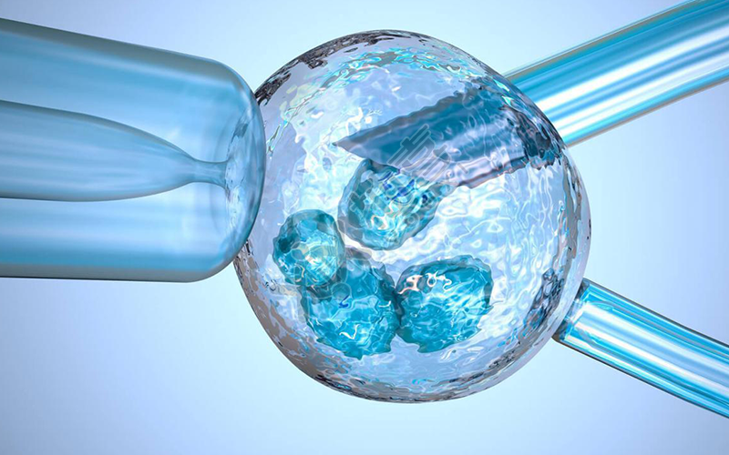 胚胎冷冻技术