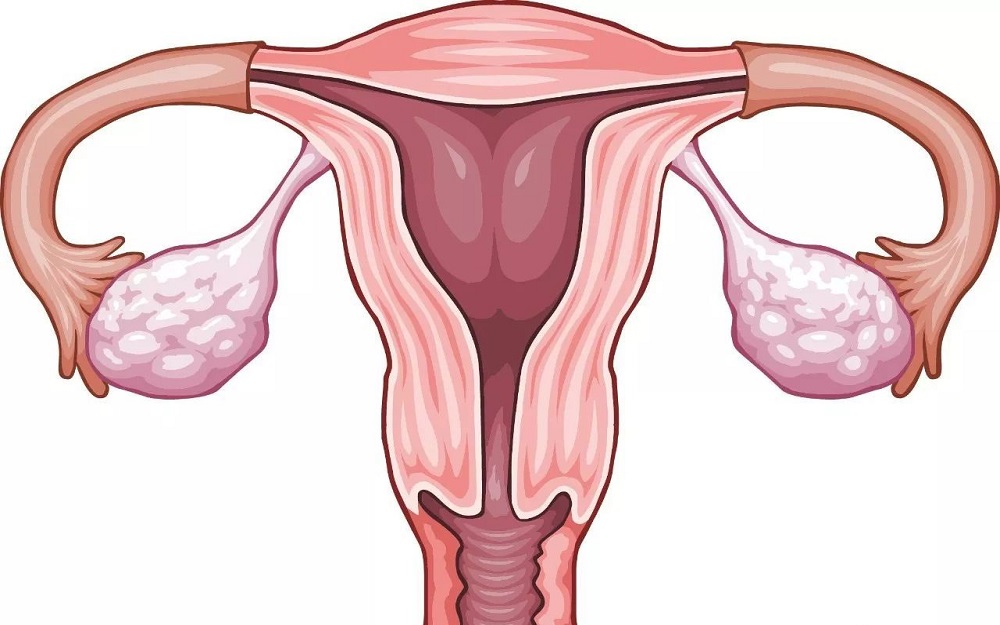 有子宫的石女做人工阴道后能怀孕