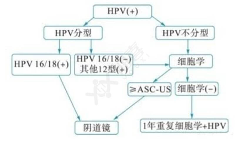 HPV治疗导图