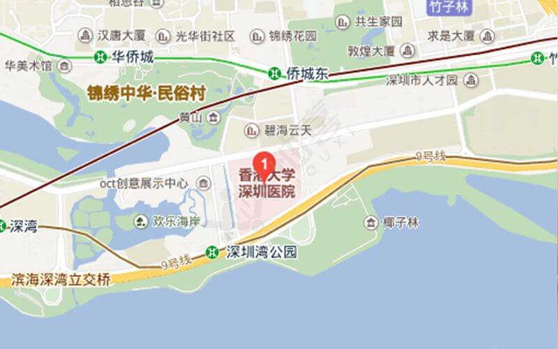港大深圳医院地理位置