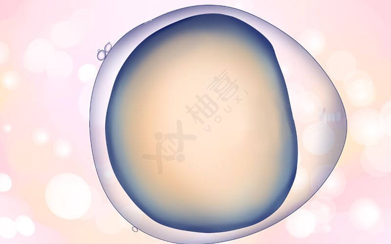 胚胎质量