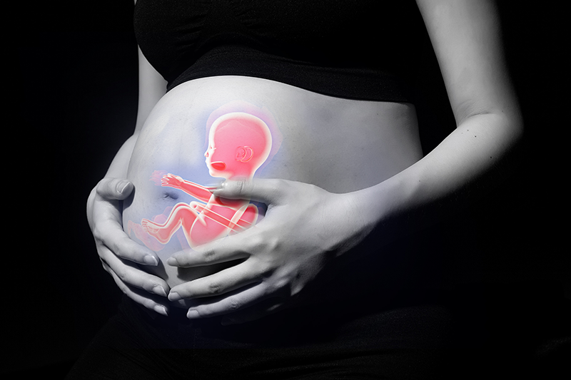 胎儿畸形形成阶段