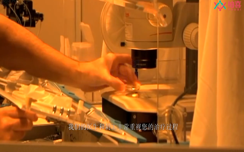医生在仪器下观察胚胎