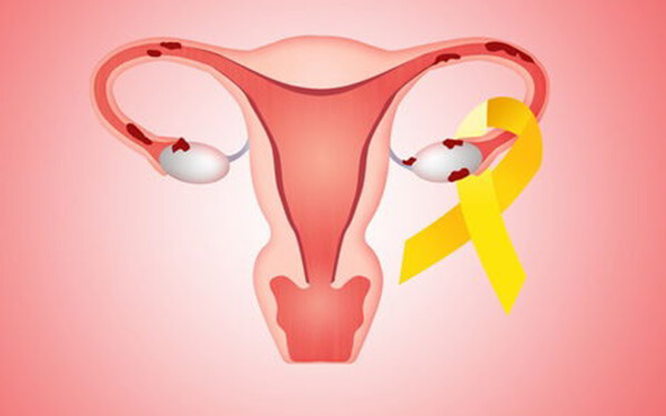 取卵后卵巢正确恢复的4种表现，来看看你中了几点？