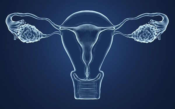 取卵后卵巢囊肿可以移植吗？生理性和病理性有区别
