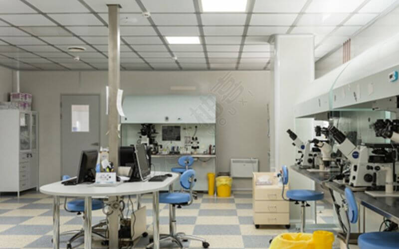 实验室和胚胎学