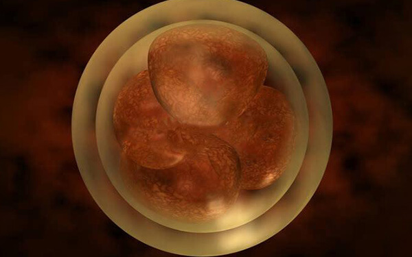 提高胚胎着床率有诀窍，试管移植前的4个准备不可少！