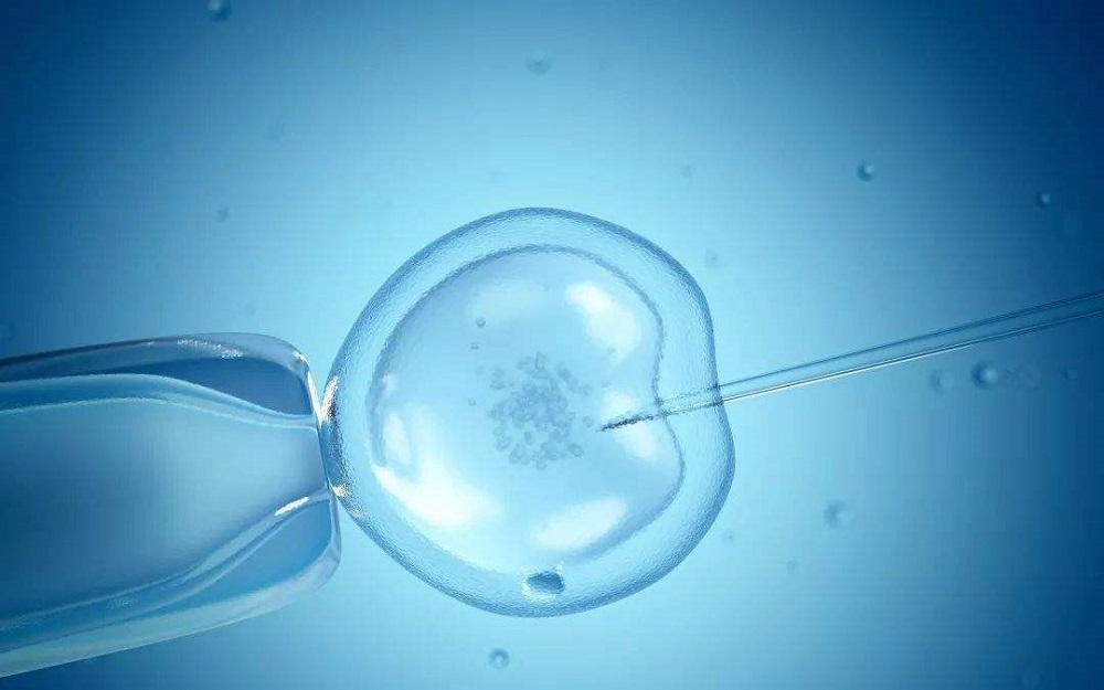 美国可开展的辅助生殖技术