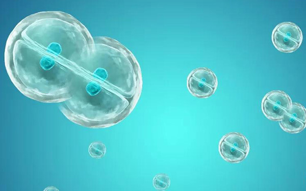 北医三院做试管，自然周期鲜胚移植成功率是多少？