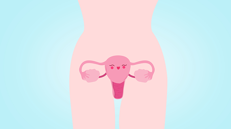子宫孕育胎儿