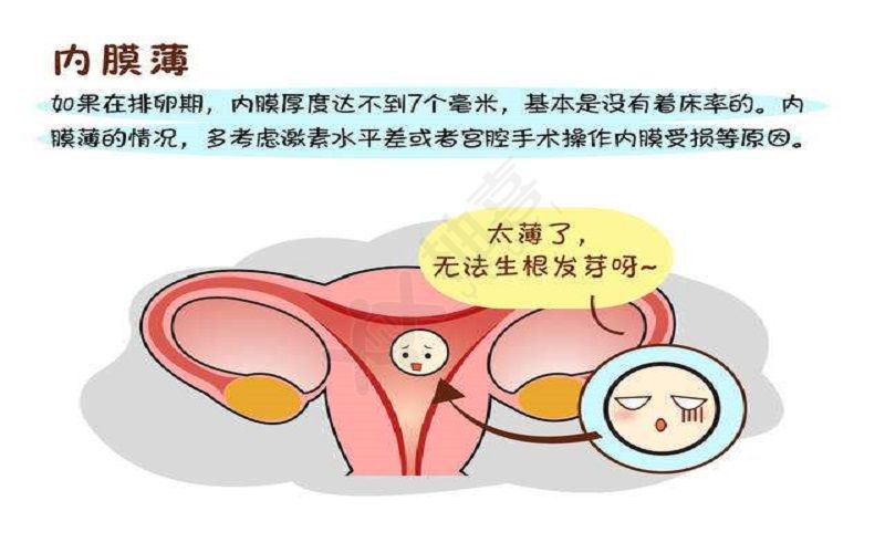 女性备孕子宫内膜厚度太薄影响受孕