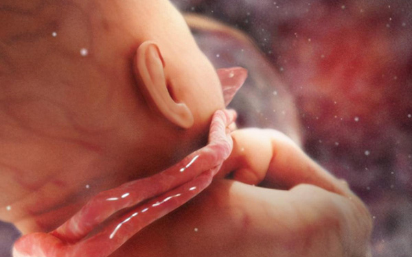 孕中期胎宝宝脐带绕颈，多是这4种原因在作祟