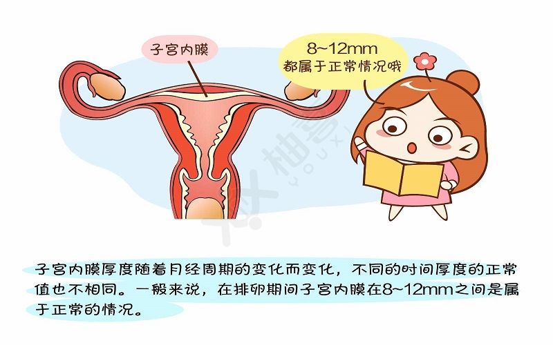 女性备孕子宫内膜厚度影响受孕几率