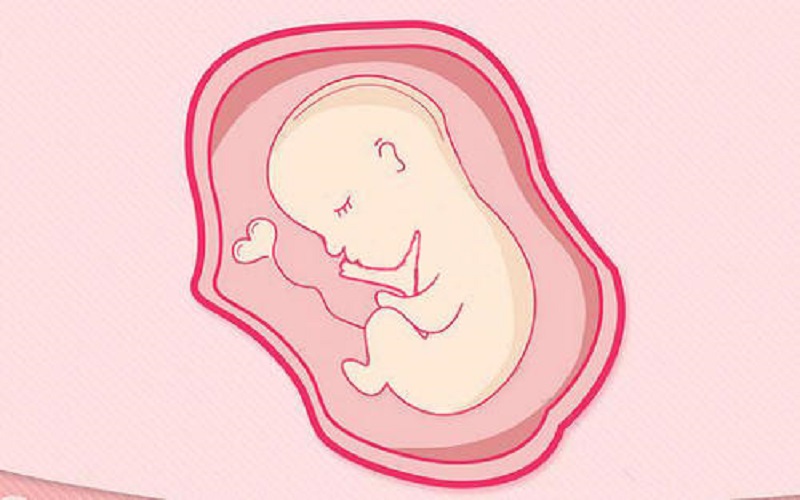 宫腔环境对胎儿的影响