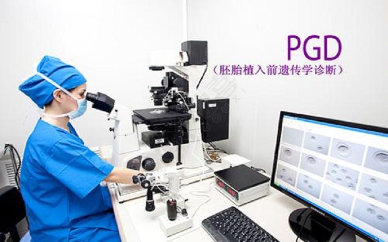 PGD就是胚胎植入前遗传学诊断技术