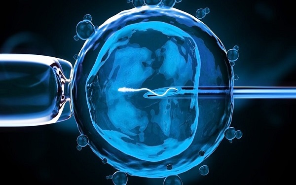 冻胚移植具体流程是什么?自然周期会比人工周期好吗?