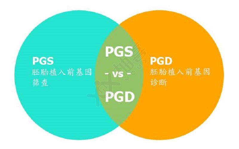 PGS和PGD技术比对