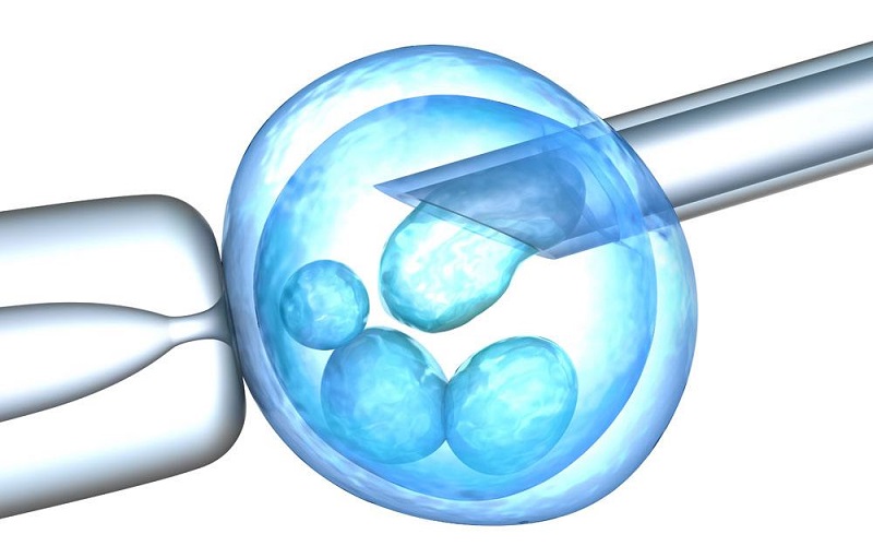 冻胚移植前需准备好解冻的胚胎