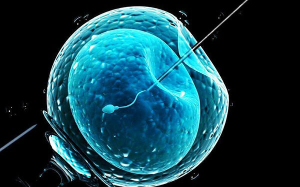 二代试管针对精子畸形是怎么挑选优质精子的？