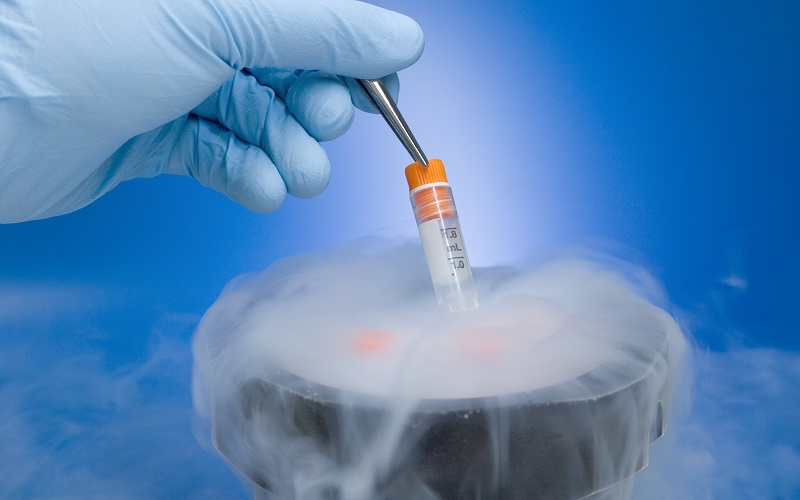 选择好医院可提高冻胚移植成功率