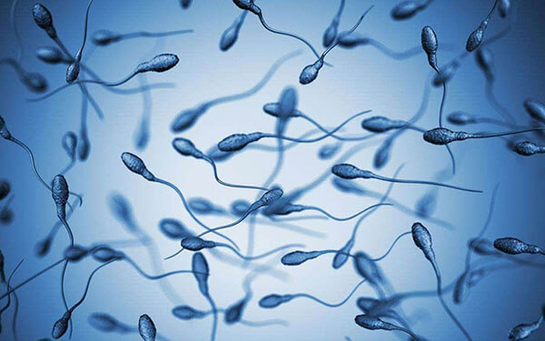二代试管和三代试管有什么区别？精子畸形做哪个好？