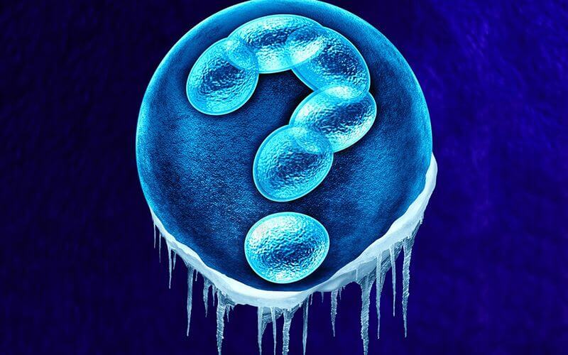 冻胚移植是什么意思
