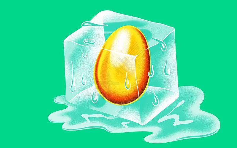 冻卵即冰冻卵子