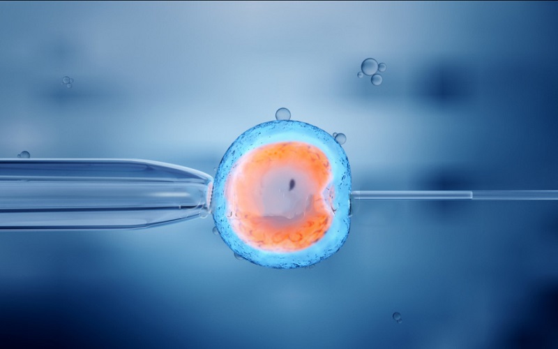 拮抗剂方案可提高鲜胚移植成功率