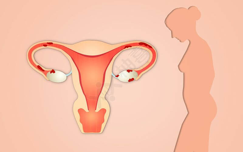 子宫内膜环境对冻胚移植成功率尤为重要