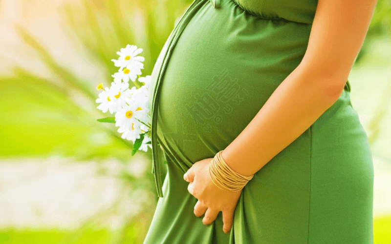多胎妊娠者腹部发育明显