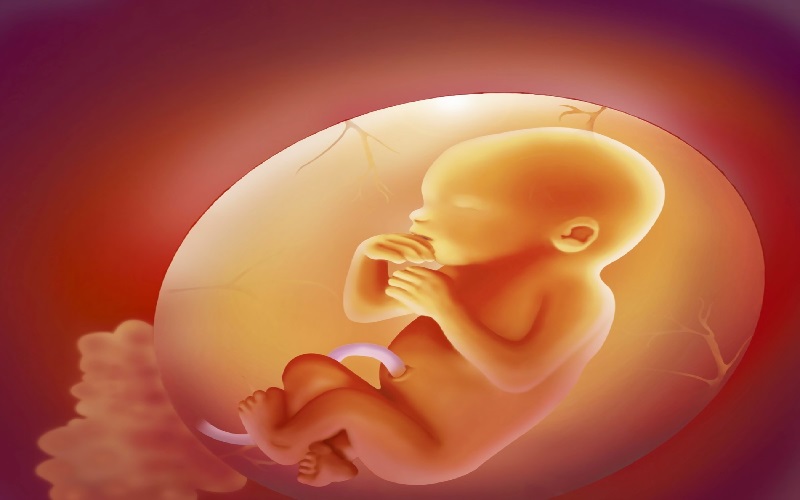 依诺肝素钠有可能对胎儿造成影响