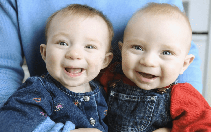 双胞胎是一胎孕育两个胎儿