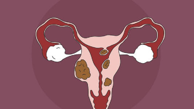 卵巢功能下降的三个阶段