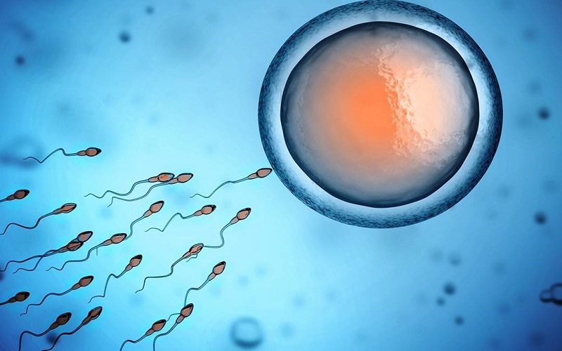 精子分离术可预防胎儿患遗传病