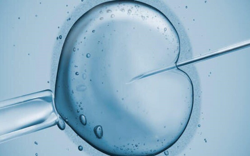 微刺激方案一般是冻胚