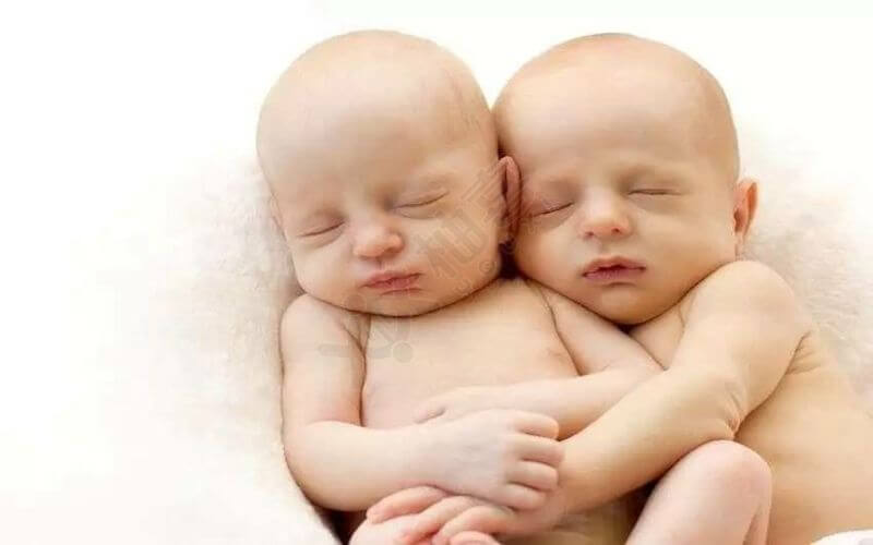 双胞胎发生几率为九十分之一