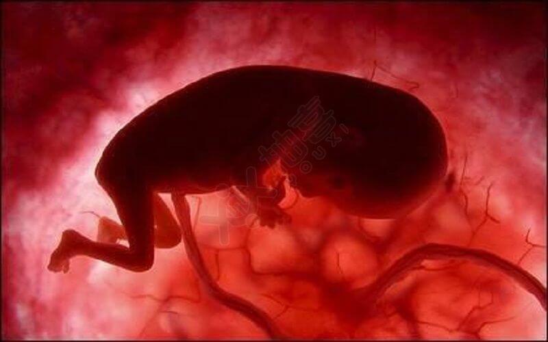 胎儿发育后胎盘低置会发生改变