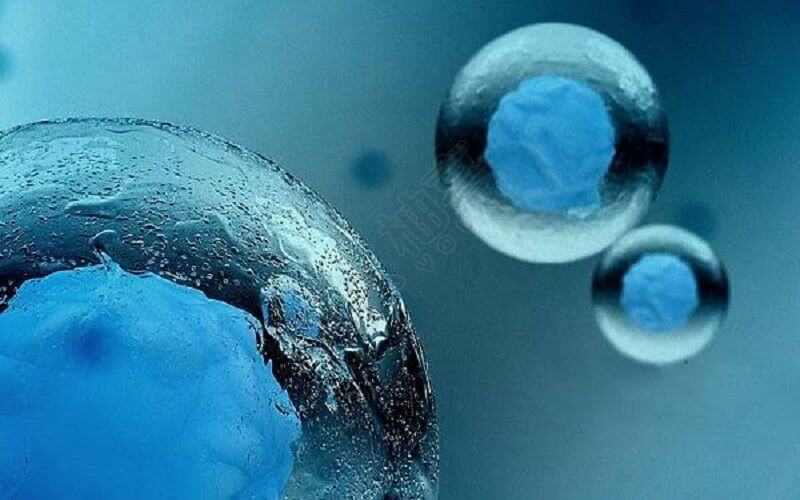 微刺激方案鲜胚移植