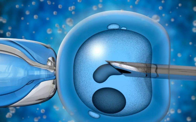 子宫环境会影响鲜胚移植成功率