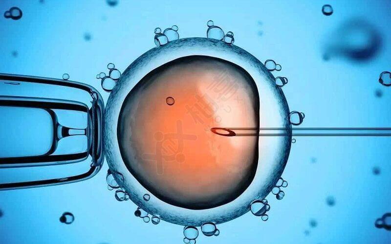 鲜胚移植成功的征兆
